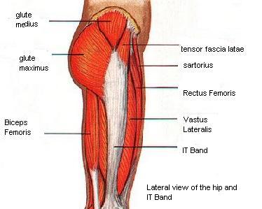 IT Band and Vastus Lateralis Release